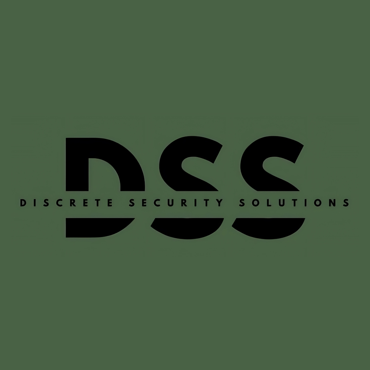 Discrete Security Solutions 